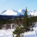 Ski tours in KOLA Peninsula region. The North part of Russia. Polar lights “Aurora” seeing. 2016 – <b>from 755 EUR€</b>